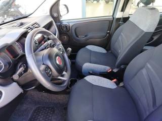 FIAT Panda usata 14