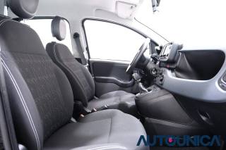 FIAT Panda usata 53