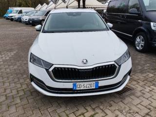 SKODA Octavia usata, con Airbag