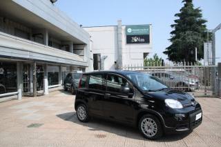 FIAT Panda usata, con Climatizzatore