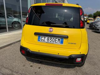 FIAT Panda Cross usata, con Airbag Passeggero