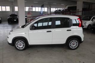 FIAT Panda usata, con Airbag laterali