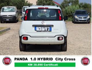 FIAT Panda Cross usata, con Alzacristalli elettrici