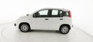 FIAT Panda usata, con Airbag Passeggero