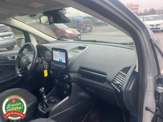 FORD EcoSport usata, con Antifurto