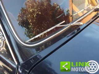 FIAT 500L usata 46
