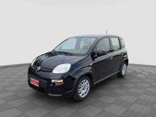 FIAT Panda PANDA 1.0 FireFly S&S Hybrid