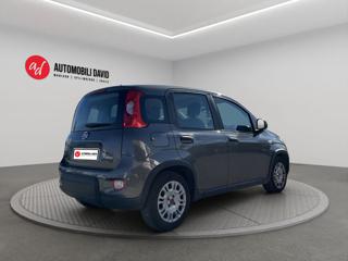 FIAT Panda usata, con Alzacristalli elettrici