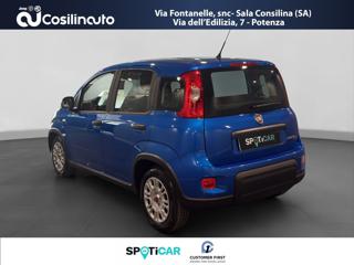 FIAT Panda usata, con Airbag laterali