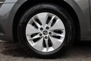 SKODA Octavia usata 166