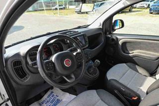 FIAT Panda Cross usata, con Immobilizzatore elettronico