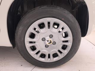 FIAT Panda usata, con Sensori di parcheggio posteriori