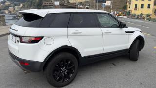 LAND ROVER Range Rover Evoque usata, con Airbag Passeggero