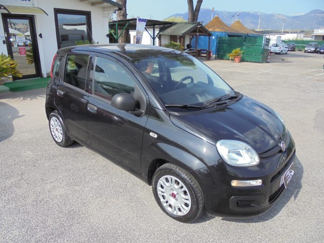 FIAT Panda usata 12
