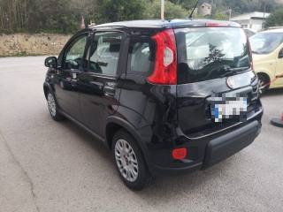 FIAT Panda usata, con Antifurto
