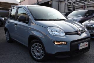 FIAT Panda usata, con Airbag