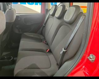 FIAT New Panda usata 15
