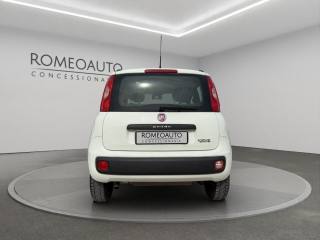 FIAT Panda usata 4