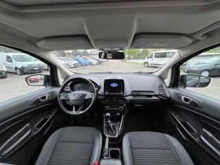 FORD EcoSport usata, con Cruise Control