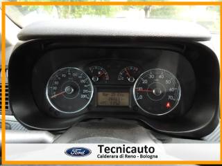 FIAT Grande Punto usata, con Bracciolo