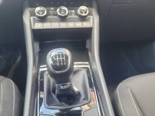 SKODA Karoq usata, con ESP