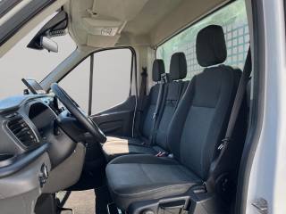 FORD Transit usata, con Fendinebbia