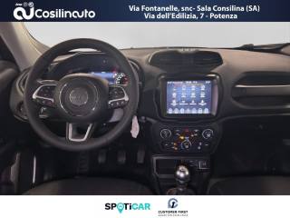JEEP Renegade usata, con Cruise Control