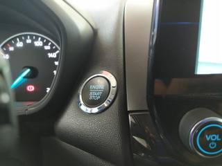 FORD EcoSport usata, con Controllo automatico clima