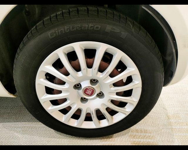 FIAT Punto usata 17