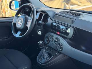 FIAT Panda usata, con Chiusura centralizzata telecomandata