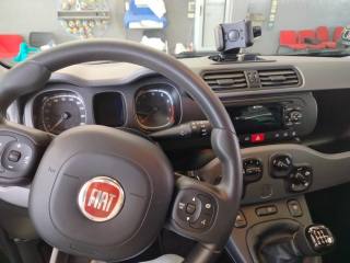 FIAT Panda usata 28
