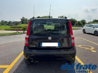 FIAT Panda usata, con Alzacristalli elettrici