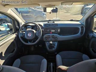 FIAT Panda usata, con Chiusura centralizzata telecomandata