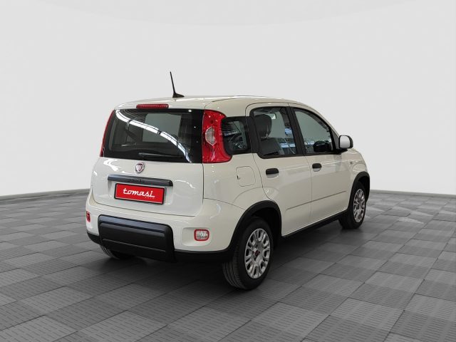 FIAT Panda usata 4