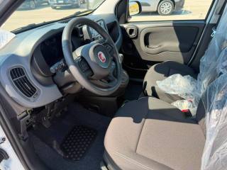 FIAT Pandina usata, con Immobilizzatore elettronico