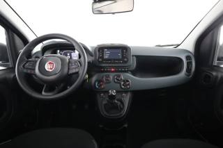 FIAT Panda usata 10