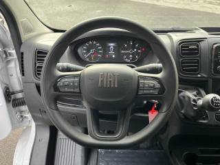 FIAT Ducato usata, con Servosterzo