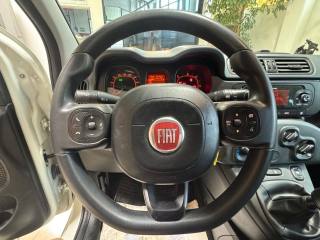 FIAT New Panda usata, con Fendinebbia