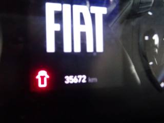 FIAT Ducato usata, con Immobilizzatore elettronico