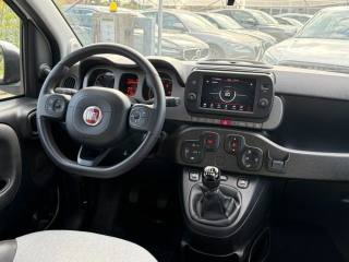 FIAT Panda Cross usata, con Controllo trazione