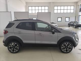 FORD EcoSport usata, con Boardcomputer