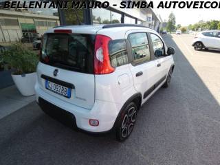 FIAT Panda usata, con Antifurto
