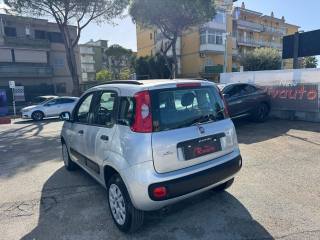 FIAT Panda usata, con Alzacristalli elettrici