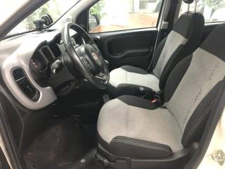 FIAT Panda usata 16