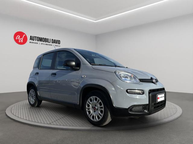 FIAT Panda usata, con Airbag