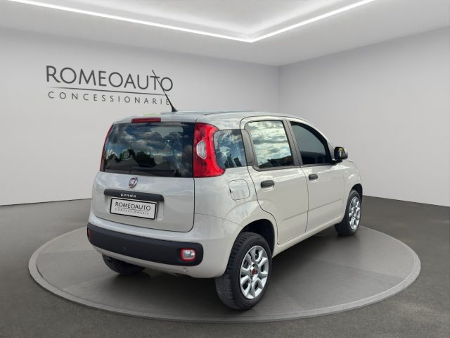 FIAT Panda usata, con Controllo trazione