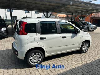 FIAT Panda usata, con Chiusura centralizzata telecomandata
