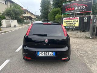 FIAT Punto usata, con Chiusura centralizzata