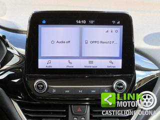 FORD Fiesta usata, con Fendinebbia
