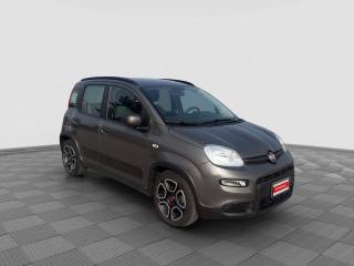 FIAT Panda usata 7